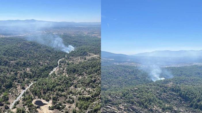 Muğla Milas'ta orman yangını: Söndürme çalışmaları devam ediyor