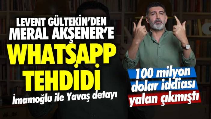 100 milyon dolar iddiası yalan çıkmıştı: Levent Gültekin'den Meral Akşener'e WhatsApp tehdidi