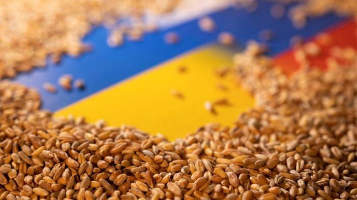 Rus buğdayı Ukrayna'yı geride bıraktı: Fiyatlar dibe çakıldı