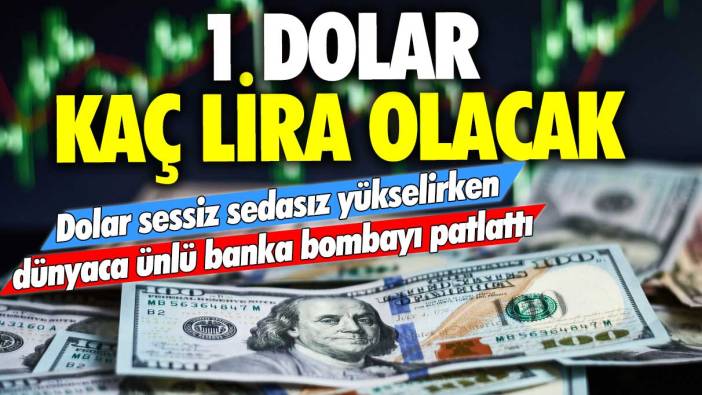 Dolar sessiz sedasız yükselirken dünyaca ünlü banka bombayı patlattı! 1 dolar kaç lira olacak