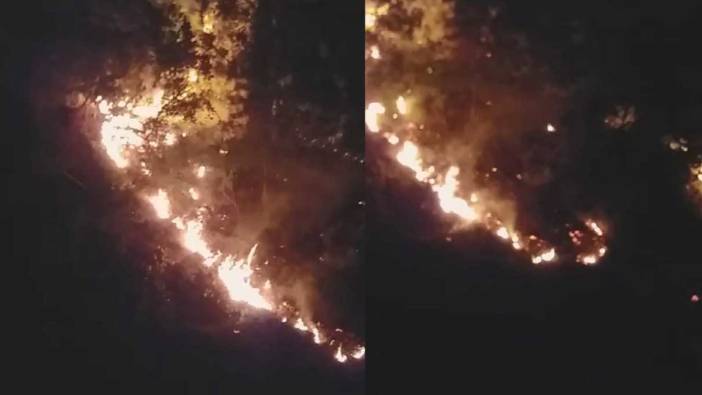 Kastamonu'da korkutan orman yangını