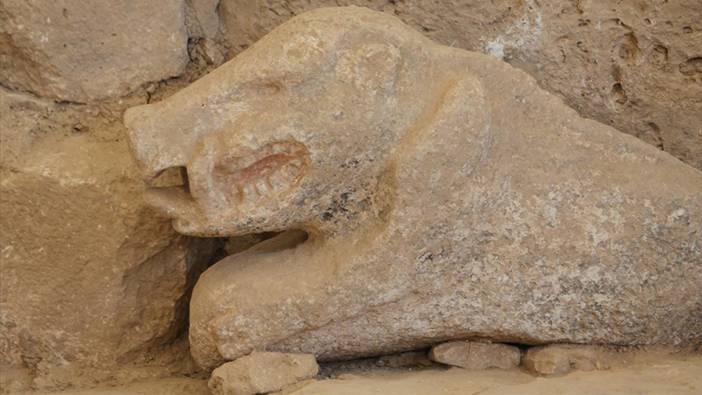 Göbeklitepe'de bulunan yaban domuzu heykeli görüntülendi