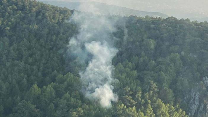 İzmir'de çıkan orman yangını söndürüldü