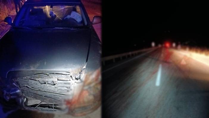 Karabük'te feci kaza: Otomobil domuz sürüsünün arasına daldı