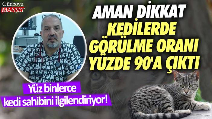 Yüz binlerce kedi sahibini ilgilendiriyor! Aman dikkat kedilerde görülme oranı yüzde 90'a çıktı