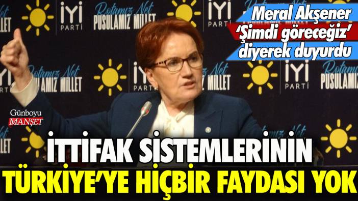 Meral Akşener: İttifak sistemlerinin Türkiye'ye hiçbir faydası yok