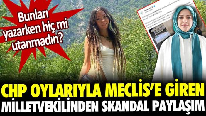 CHP oylarıyla Meclis'e giren Sema Silkin Ün'den skandal paylaşım! Bunu yazarken hiç mi utanmadın?