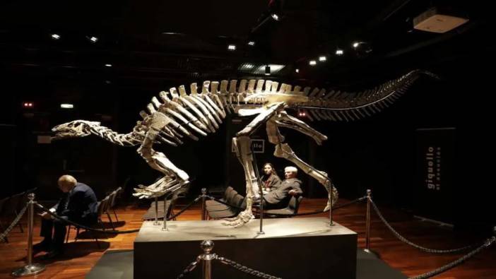 150 milyon yıllık dinozor iskeleti açık artırmayla sahibini buldu