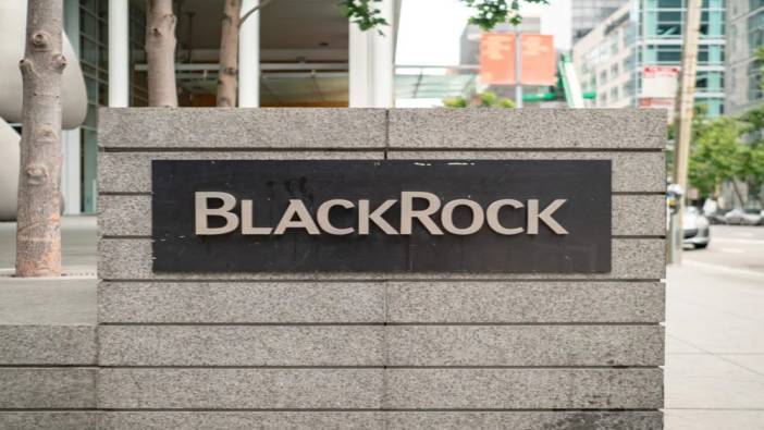 Ünlü ETF analisti BlackRock hakkında çarpıcı paylaşımda bulundu