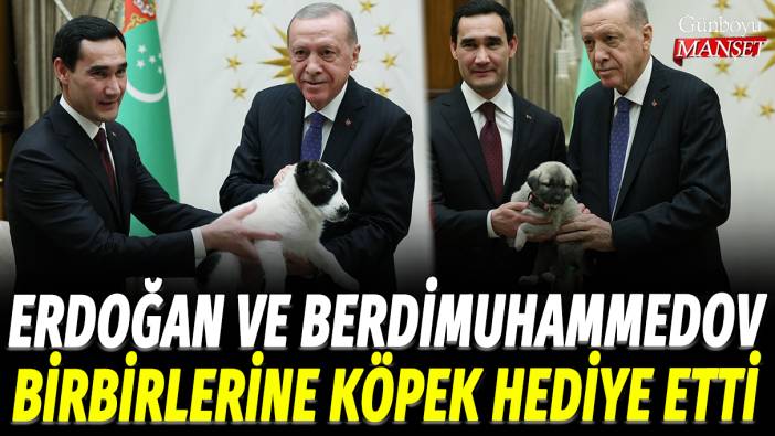 Erdoğan ve Berdimuhammedov birbirlerine köpek hediye etti