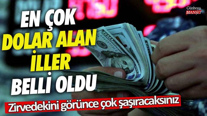 En çok dolar alan iller belli oldu! Zirvedekini görünce çok şaşıracaksınız