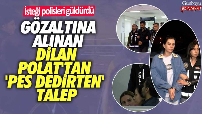 Gözaltına alınan Dilan Polat'tan 'pes dedirten' talep! İsteği polisleri güldürdü