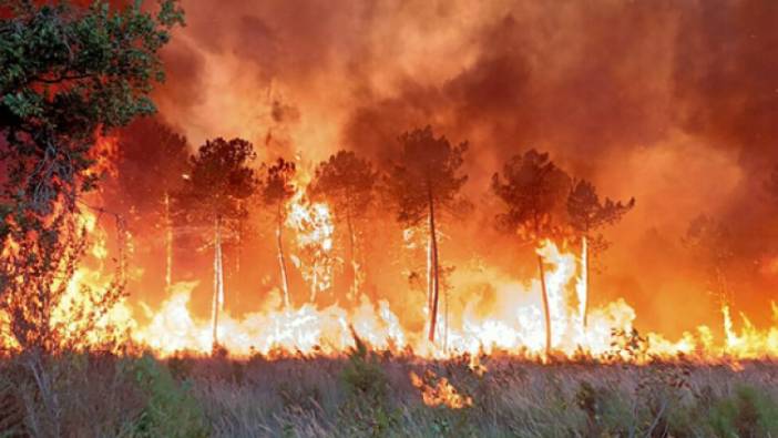 İspanya'da orman yangını nedeniyle 600'den fazla kişi evlerinden tahliye edildi