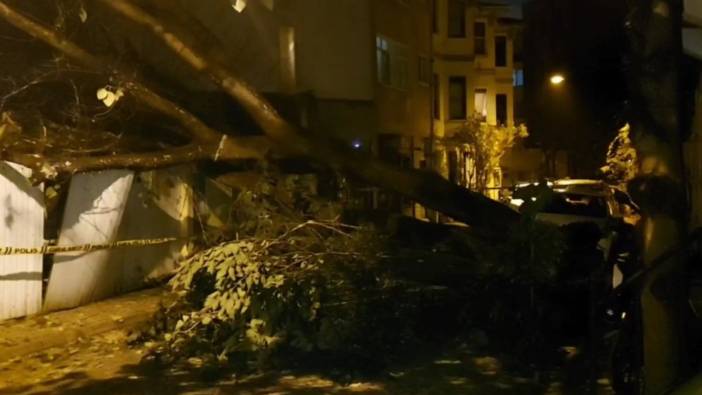 Üsküdar'da aşırı yağış nedeniyle evin bahçe duvarına ağaç devrildi