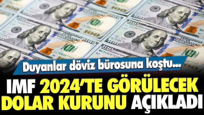 Duyanlar döviz bürosuna koştu... IMF, 2024'te Türkiye'de görülecek dolar kurunu açıkladı
