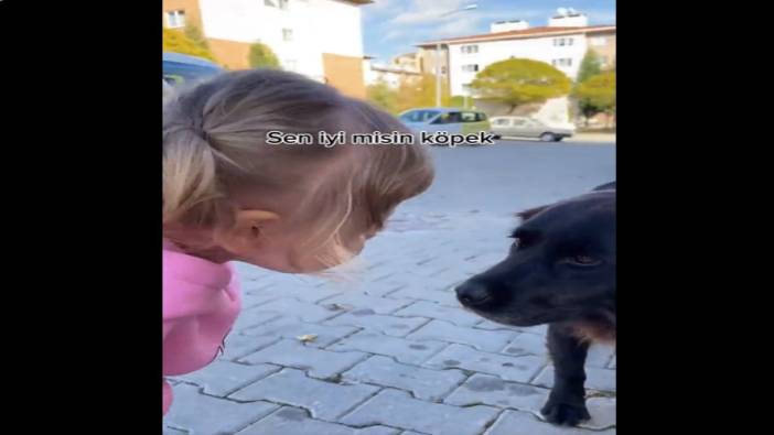 Sokakta gördüğü köpeği seven çocuğun o anları sosyal medyada viral oldu