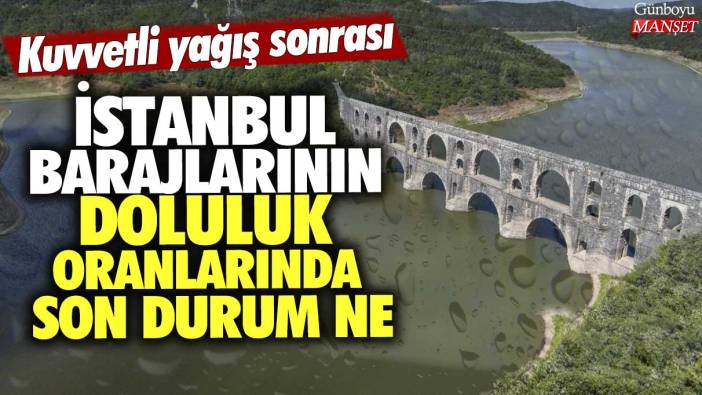 Kuvvetli yağış sonrası İstanbul barajlarının doluluk oranlarında son durum ne