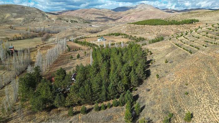 Bayburt'ta emekli doktor çorak araziyi 3 bin ağaçlı ormana dönüştürdü