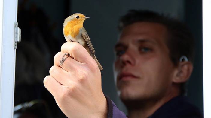 İsveçli kuş bilimci, Iğdır'da halkalama ve araştırma yapıyor