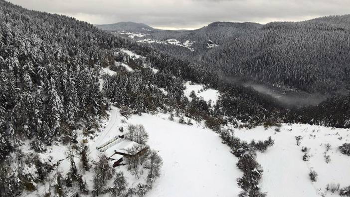 Kastamonu'da kar yağışı sonrası ormanlar dronla görüntülendi