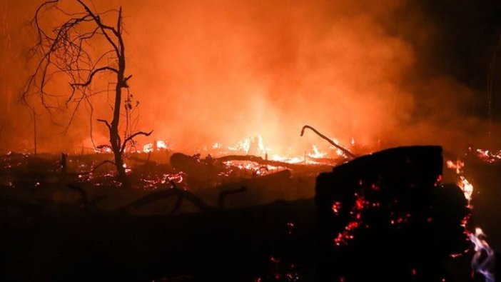 Bolivya'daki yangın 2 milyon hektar alanı kül etti
