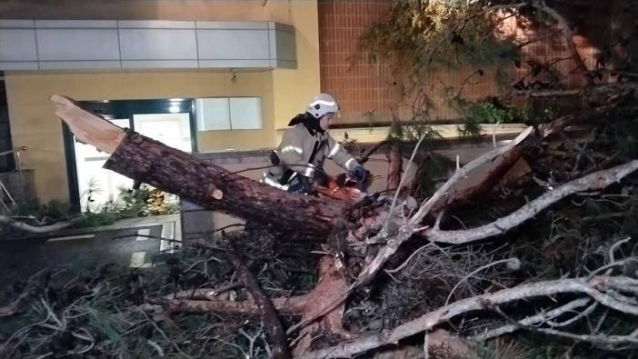 Kadıköy’de hastane bahçesindeki ağaç fırtınada devrildi