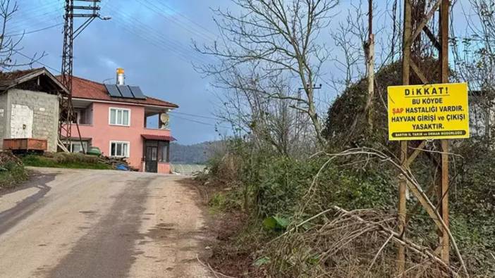 Bartın’da şap hastalığı görüldü: 12 köy karantinaya alındı