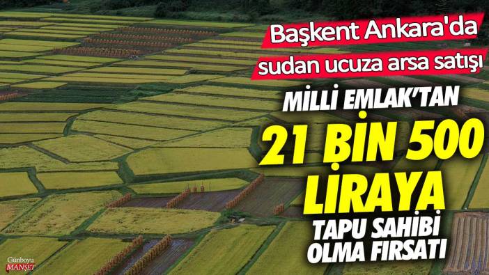 Milli Emlak'tan 21 bin 500 liraya tapu sahibi olma fırsatı! Ankara'da sudan ucuza arsa satışı