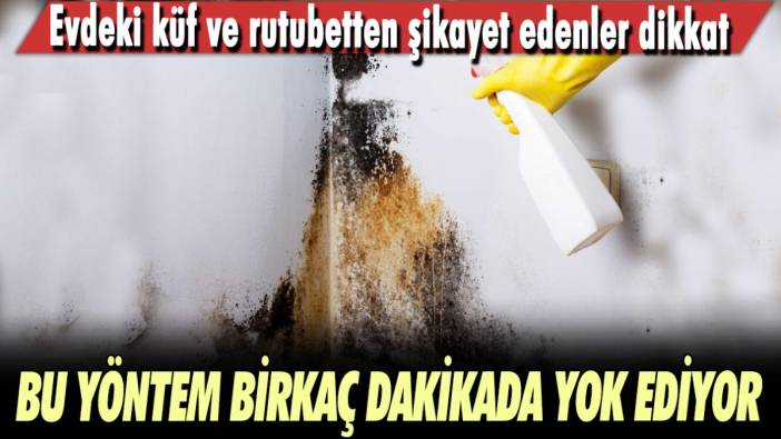 Evdeki küf ve rutubetten şikayet edenler dikkat! Yalnızca birkaç dakikada küften eser kalmıyor