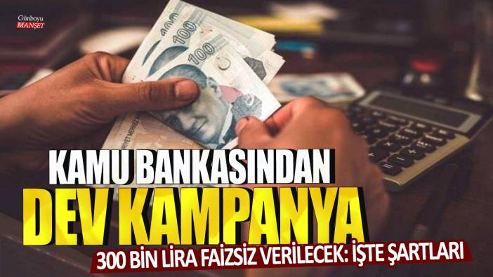 Kamu bankasından dev kampanya! 300 bin lira faizsiz verilecek: İşte şartları