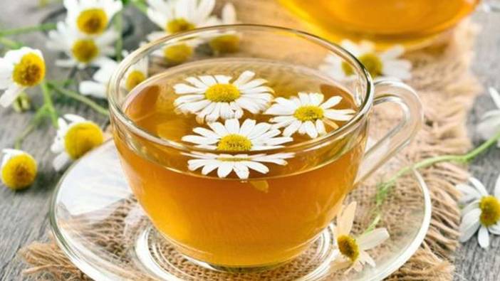 Papatya çayı hangi hastalıklara iyi gelir