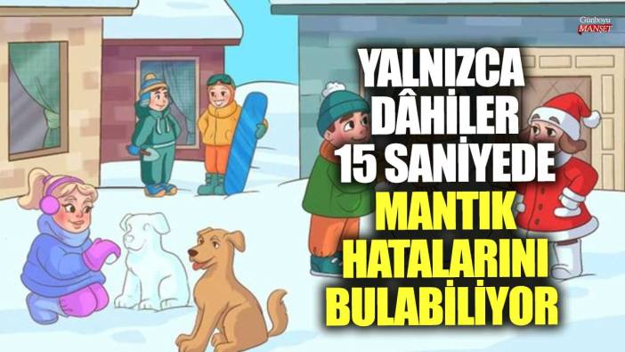 Yalnızca dâhiler 15 saniyede mantık hatalarını bulabiliyor!