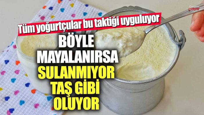 Böyle mayalanırsa sulanmıyor taş gibi oluyor!  Tüm yoğurtçular bu taktiği uyguluyor