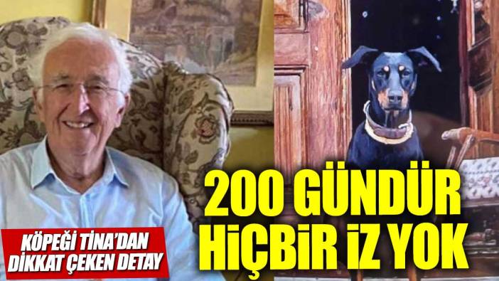 Korhan Berzeg'den 200 gündür hiçbir iz yok köpeği Tina'dan dikkat çeken detay
