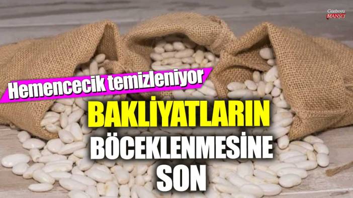 Bakliyatların böceklenmesine son! Hemencecik temizleniyor