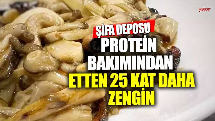Protein bakımından etten 25 kat daha zengin! Şifa deposu