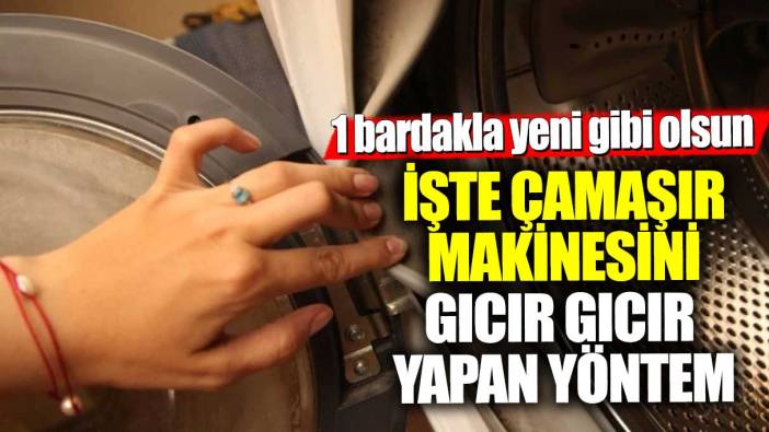 İşte çamaşır makinesini gıcır gıcır yapan yöntem! 1 bardakla yeni gibi olsun