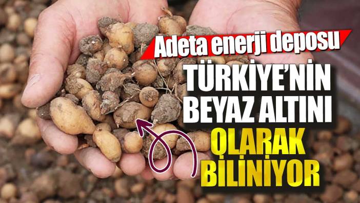 Türkiye’nin beyaz altını olarak biliniyor! Adeta enerji deposu