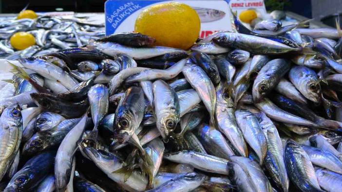 Balık fiyatları iki kat arttı