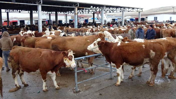 Yozgat’ta canlı hayvan pazarları kapatılacak