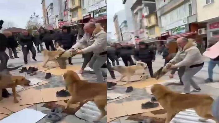 Kavga eden köpekler cemaatin arasına daldı!