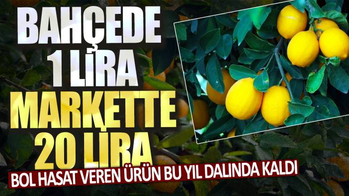 Bol hasat veren ürün bu yıl dalında kaldı: Bahçede 1 lira markette 20 lira