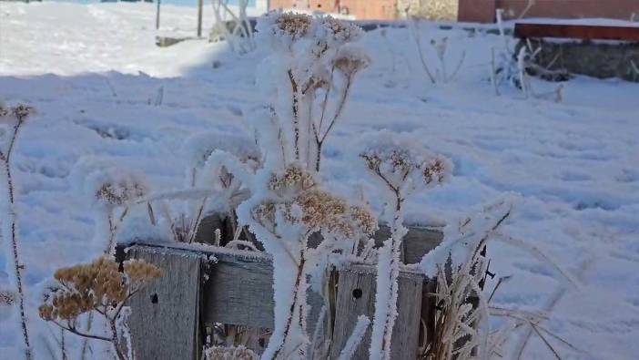 Türkiye'nin en soğuk yeri belli oldu! Termometreler eksi 28 derece