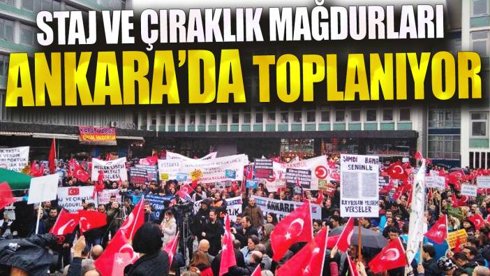 Staj ve çıraklık mağdurları Ankara’da toplanacak