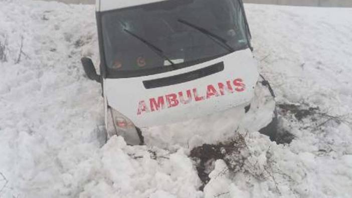 Bingöl'de ambulans şarampole düştü