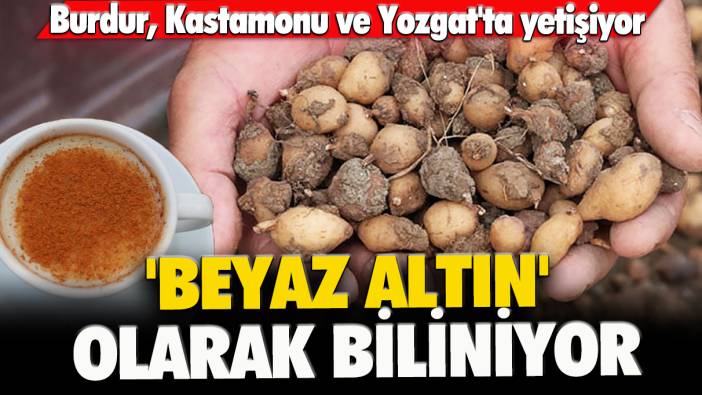 Burdur, Kastamonu ve Yozgat'ta yetişiyor: 'Beyaz Altın' olarak biliniyor... Osmanlı padişahlarının içeceği