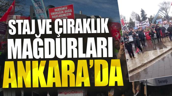 Staj ve çıraklık mağdurları Ankara'da