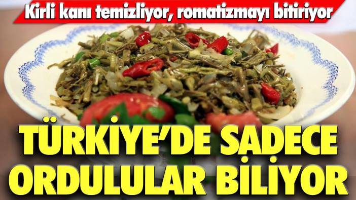 Türkiye'de sadece Ordulular biliyor: Kirli kanı temizliyor, romatizmayı bitiriyor