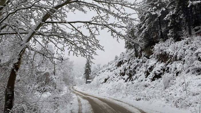 Meteoroloji'den o bölge için kar yağışı uyarısı!