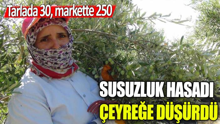 Susuzluk hasadı çeyreğe düşürdü: Tarlada 30, markette 250 lira